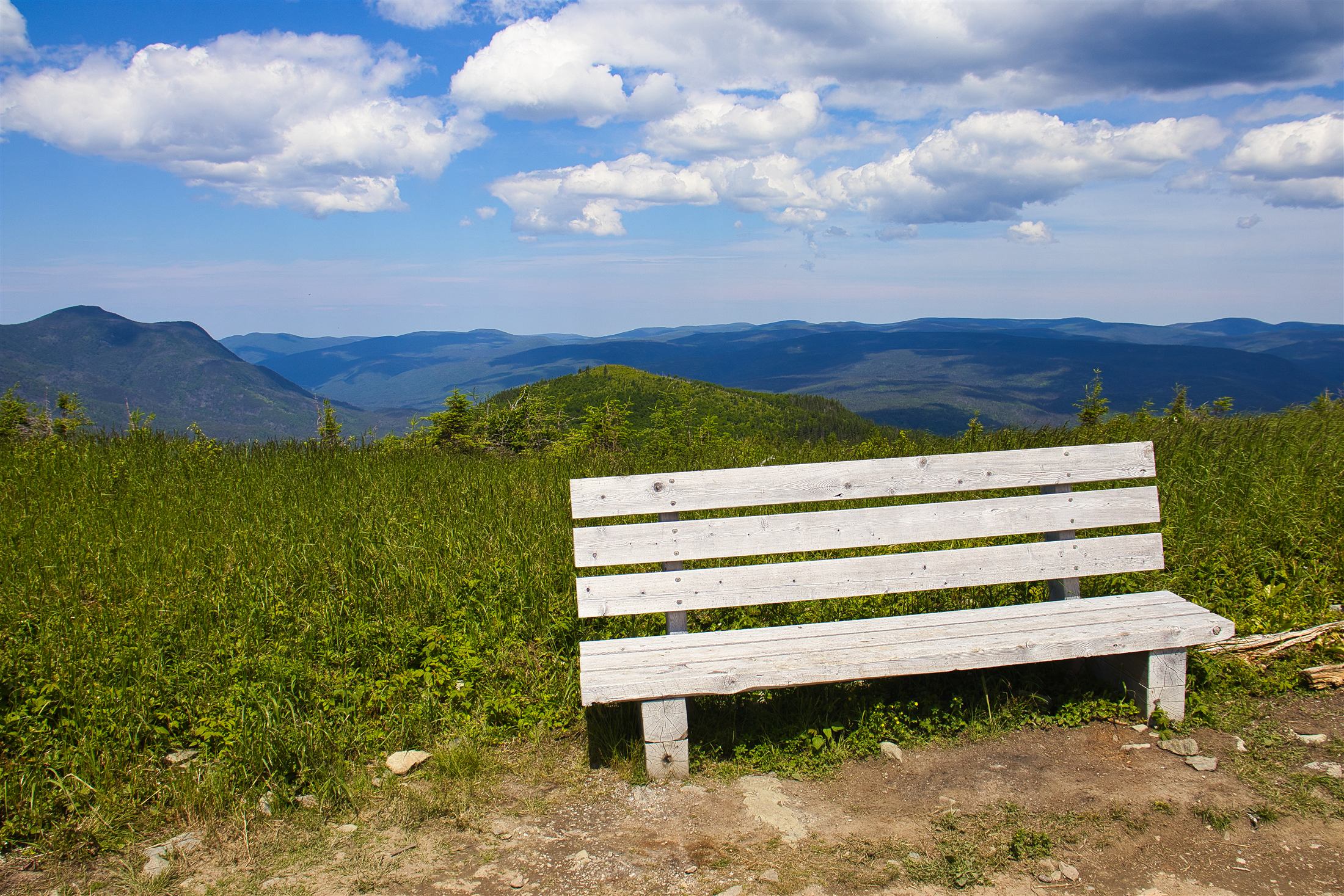 A bench overlooking green mountain ridges