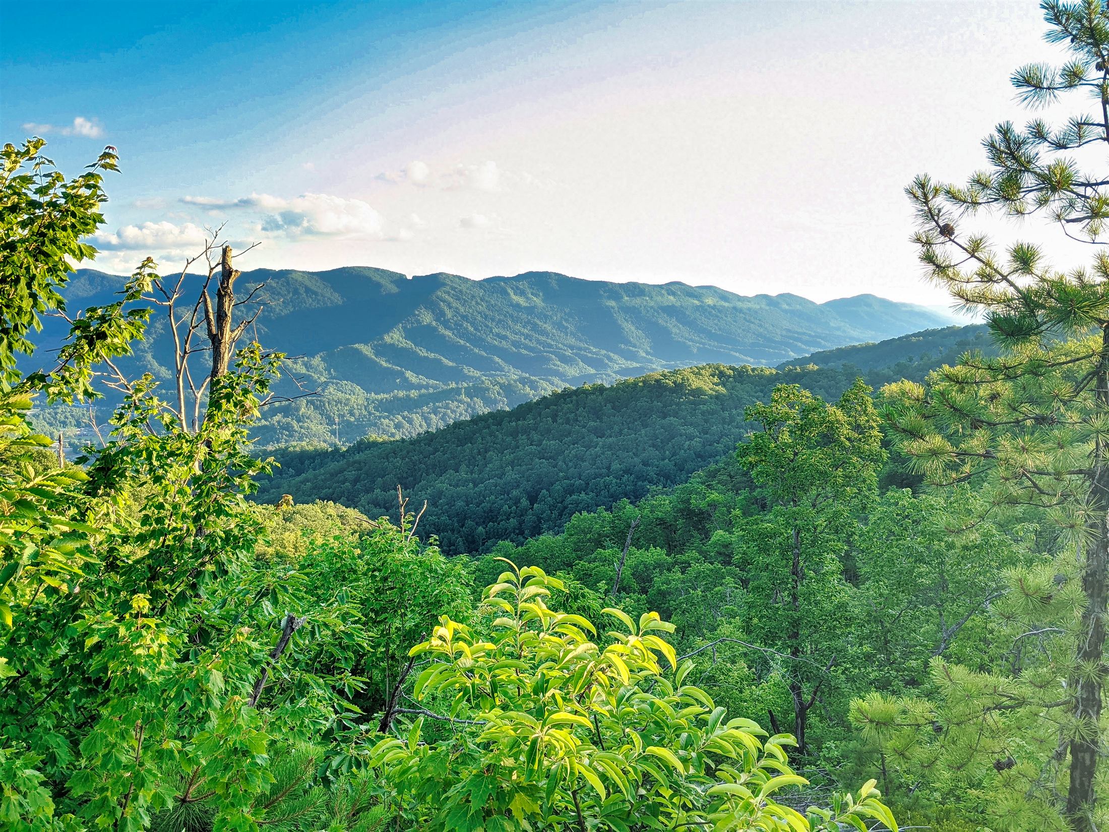 Layered green mountain ridges under a blue sky